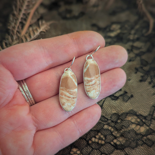 Zebra Jasper Oval Earrings