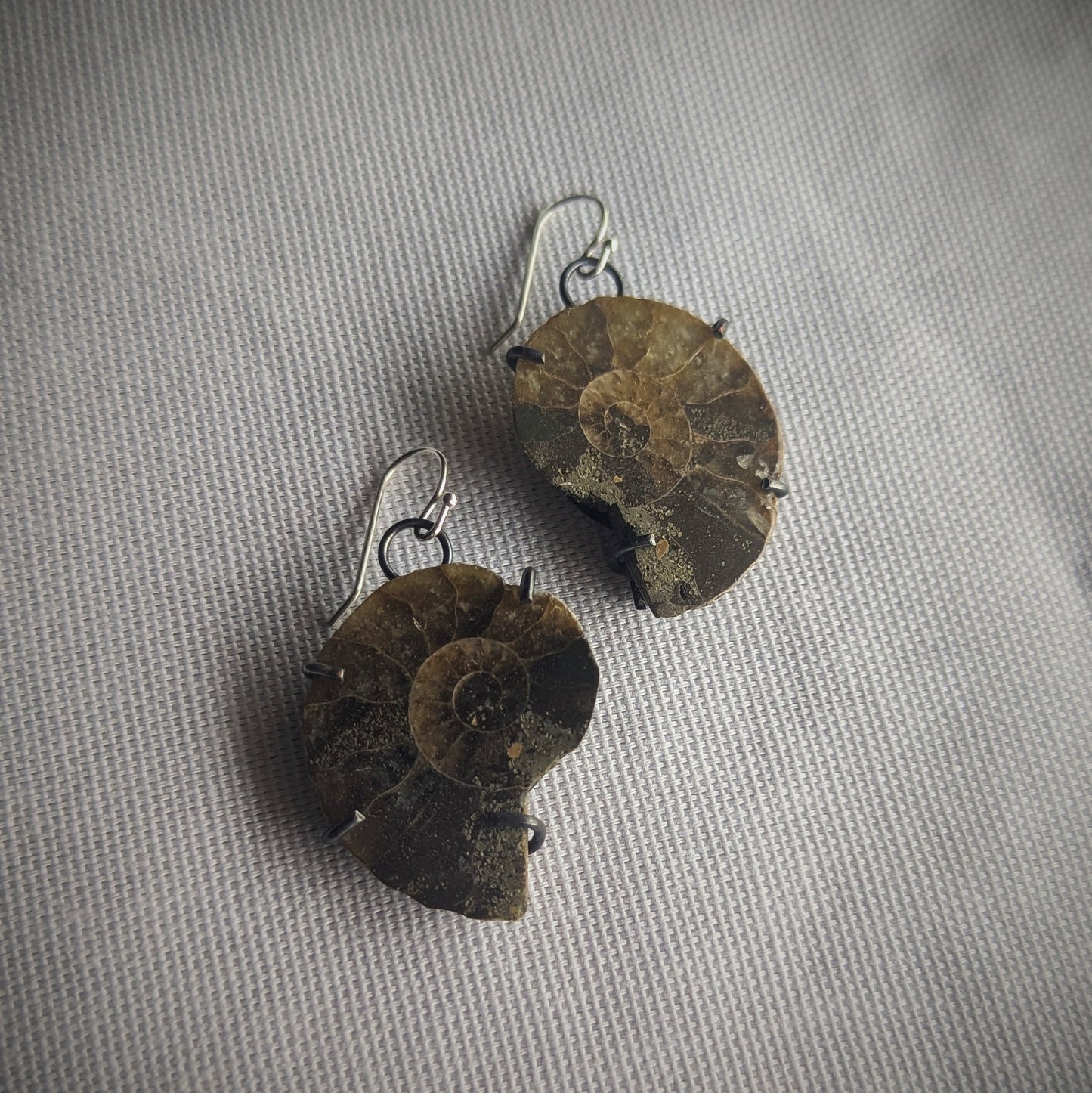 Copper Ammonite Prong Earrings