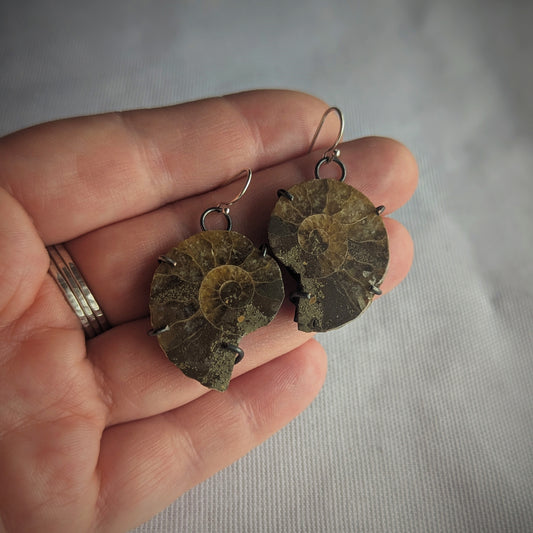 Copper Ammonite Prong Earrings
